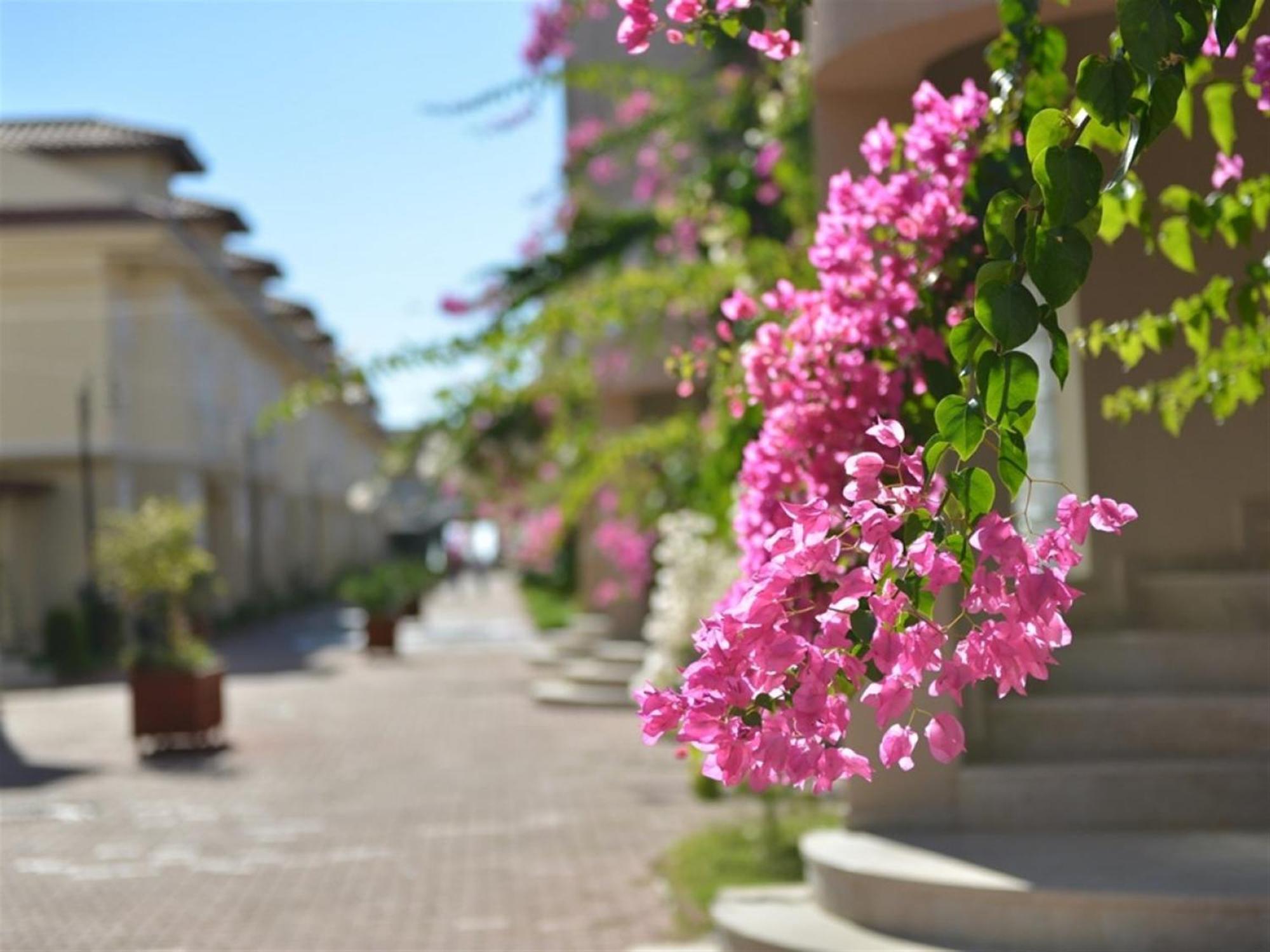Sunset Beach Club Lebrentals Fethiye Exterior foto
